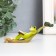 Souvenir Polystone "Frog reads a book on a leaf with chameleon" 4.6x3x12 cm