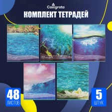 A set of notebooks of 5 pieces (4 different + 1 repeating), 48 sheets in the Calligrata Ocean cage, covered paper cover, block No. 2, whitewash 75% (gray sheets)