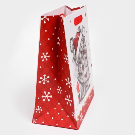 Gift, laminated, "hugs" package, 18 x 23 x 10 cm-2