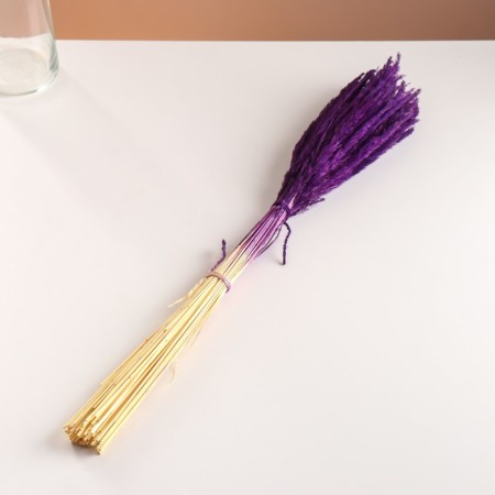Set of dried flowers "Weinik", banch length 65 (+/- 6 cm), purple-3