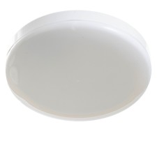 Light 