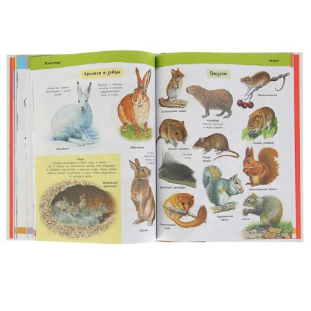 Big illustrated encyclopedia-4