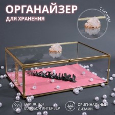 Organizer for storage 