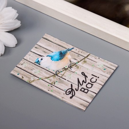 Набор открыток с семенами "Вырасти сам" "Для вас" 5*7см 3 шт-2