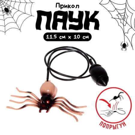 Jumping "spider"