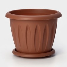 Pot with the pallet 