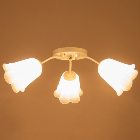 Causte "Online" (Flower) 3x15W E27 Model: BR 00204 White/Transparent-2