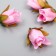 Budon on the leg for decoration "Rose Mondial" Lilac 1.7x3 cm