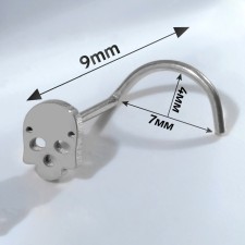 Piercing in the wing of the nasal 