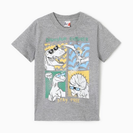 T -shirt for a boy, color gray melange, height 128 cm