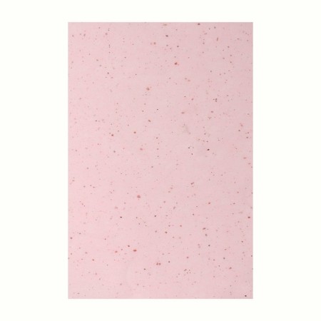 Two -matting napkin "Natural Extract Premium", 50 pcs, with rose extract-9