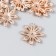 Decor for creativity plastic, rhinestones "Golden chamomile" set of 12 pcs 3x3 cm