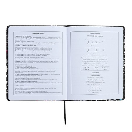 Universal Diary Grade 1-11, 48 sheets of "cyberism", solid cover of artificial leather, lies, universal cheat sheet, block 80 g/m2-9