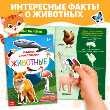 A set of books for leisure "I study animals", 4 pcs-4