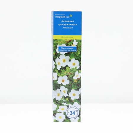 Lapceta shrubby (series North Garden) "Ebbotswood" 1 pc, tube, spring 2025