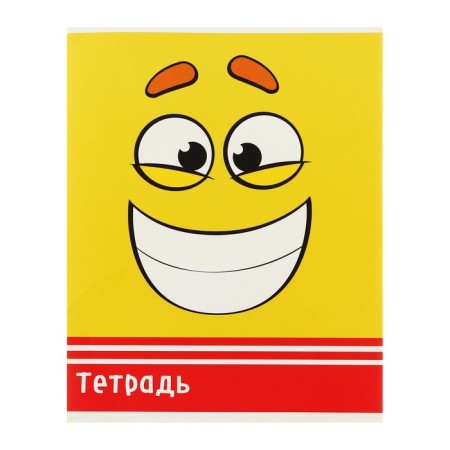 Notebook of 48 sheets in Calligrata Smiley, cover coated cardboard, offset block, mix-7