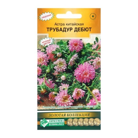 Flowers of Astra Chinese "Trubadur Debut", 10 pcs