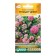 Flowers of Astra Chinese "Trubadur Debut", 10 pcs