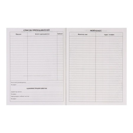Diary for grades 1-4, "dinosaurus. Pattern", solid cover 7BC, matte lamination, 48 sheets-4