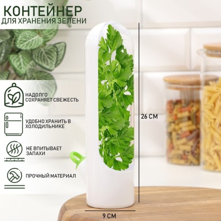 Container plastic Fresh, for storage of greens, 500 ml
