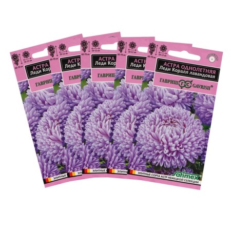 Flower seeds Astra "Lady Coral Lavender", one -year -old, an exclusive series, set of 5 pcs