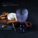 Magistro glass glass “Vilero”, 280 ml, 8 × 16.5 cm, purple color