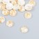 Decor for creativity Plastic "Circle with a whip" White set 30 pcs 1x1x0.5 cm