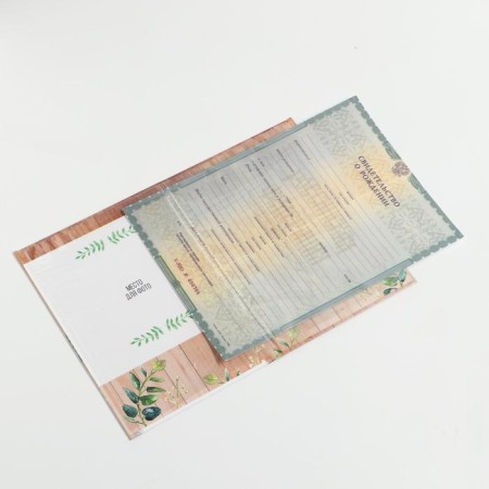 Folder for birth certificate "Misha", A5-4