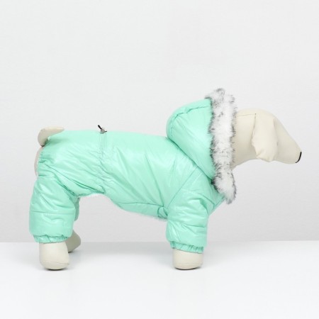 Kombinson "Gloss", size L (DS 34, OG 47, Osh 34 cm, up to 10 kg), mint-2