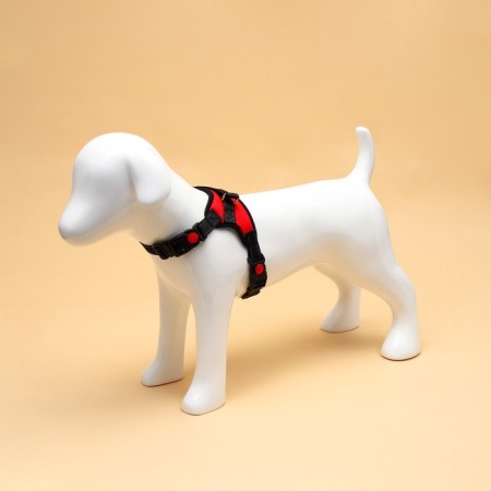 Cluck K7 soft reflective, size S, OG 44-55 cm, weight 5-9 kg, red-1