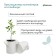 Container with handles, 18 × 21 cm, density 130 g/m², Greengo