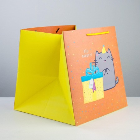 Square gift package, packaging, “cat and cake”, 30 x 30 x 30 cm-2