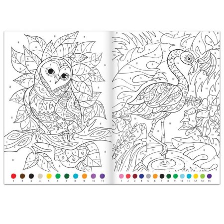 Coloring on the numbers "Amazing World", 16 pp., A4 format-1