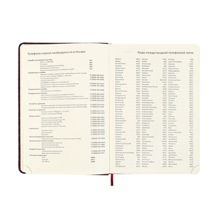 Gift Davente.clair: Diaumer Lowed A5 136 sheets, solid cover, block 70, Bordeaux + ballpoint pen-8