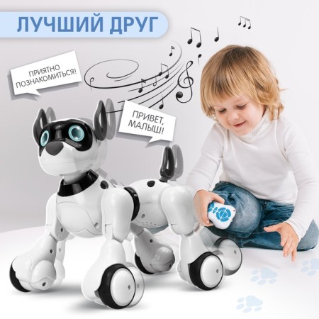 Robot dog Koddy IQ Bot, on the control panel, interactive: sound, light, dancing, musical, on the battery-5