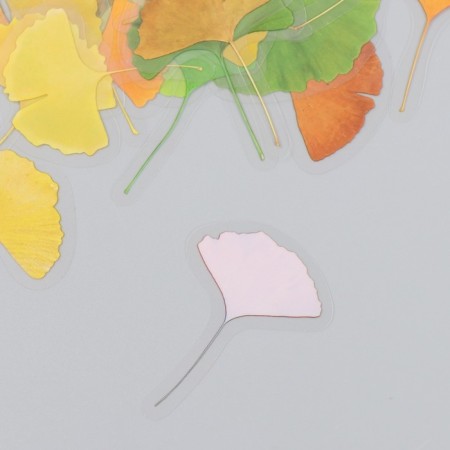 Stickers for creativity plastic "Ginkgo leaves" set 40 pcs 0.3x8x14.8 cm-2