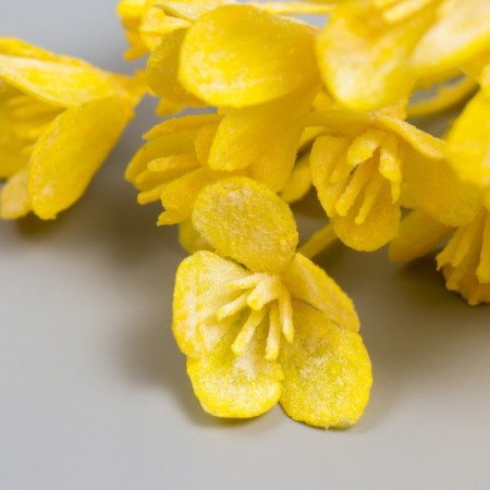 Decor for creativity "Kalanchoe Yellow" 16.5 cm-2