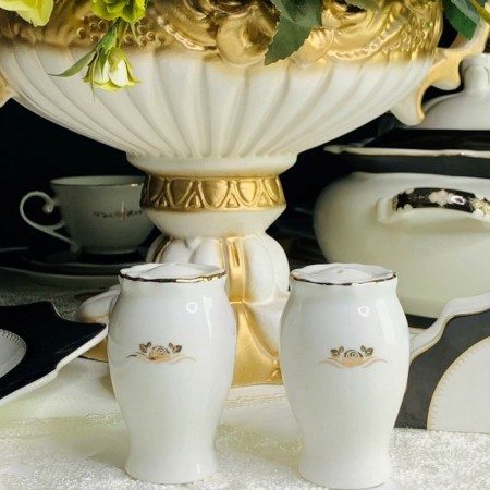 Set of solo lenardi rich