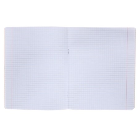 Notebook of 48 sheets in the cage "Fruits", cover coated cardboard, uf-lak, mix-1