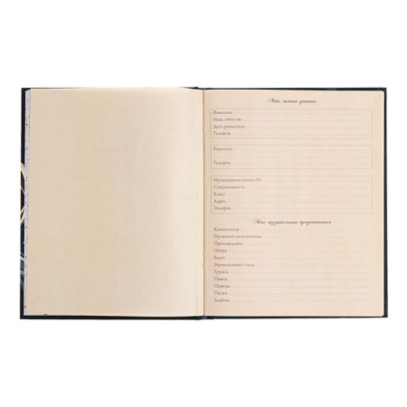 Diary for a music school, 48 sheets, hard cover, matte lamination, foil embossing, reference information, block 60g/m2-4