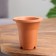 Flower Pot "Neofinetia" 0.13 liters