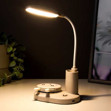 Bunny LED 3W 3W USB AKB Gray 12x8x31.5 cm Risalux-2