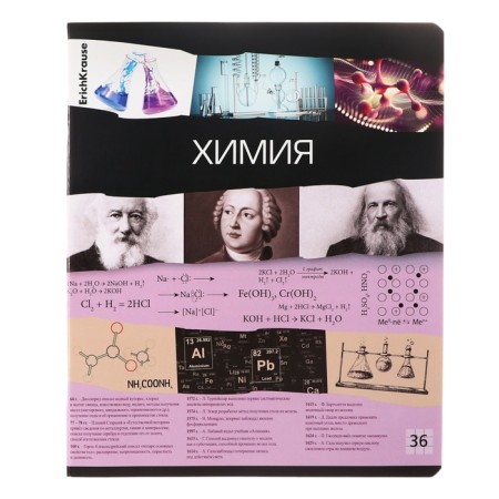 A set of subject notebooks 36 sheets, 12 pieces, Erichkrause "Timeline", coated cardboard, Blok OFSET 100%, information block-5