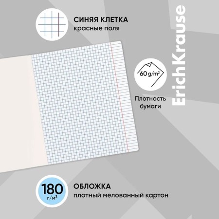 Notebook 24 sheets in a cage, Erichkrause Visio "Classic", cover coated cardboard, block offset, whiteness 100%, mix-1
