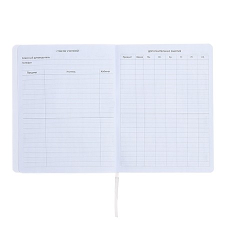 The universal diary for grade 1-11 "Do not need me to be nervous!", Soft cover, artificial leather, silkography, lies, 80 g/m2-5