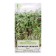Seeds on the microwave "Vegetable Coriander", mix, 5 g