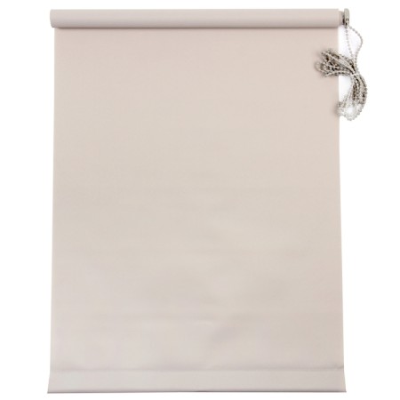 Roller curtain MJ 60x160 cm, gray color