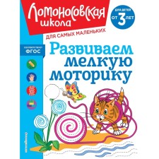 We develop fine motor skills. For children from 3 years old. Volodin N.V.