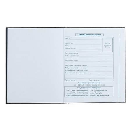 School diary for grade 1-4, "bomber", cover covered paper, glossy lamination, embossing foil, universal cheat sheet, 48 sheets, block 65g/m2-5