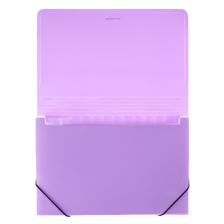Folder-carte, 12 departments, 600 μm, Erichkrause "Diagonal Pastel", elastic band, embossing, mix-5